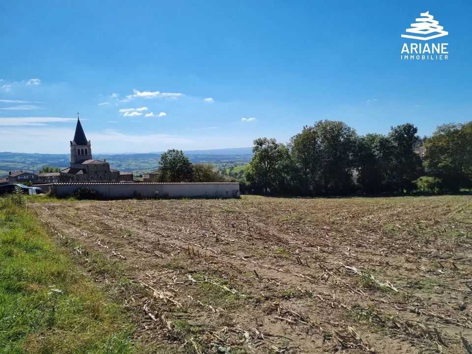 Terra a Saint-Symphorien-sur-Coise, Rhone - foto 1