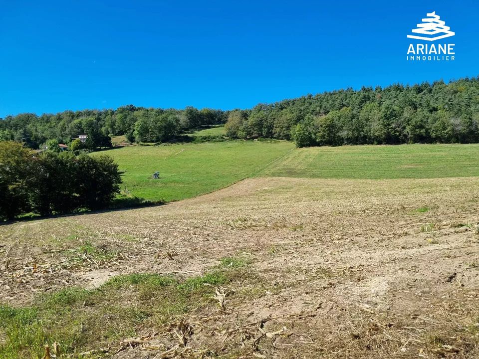 Terra a Saint-Symphorien-sur-Coise, Rhone - foto 3