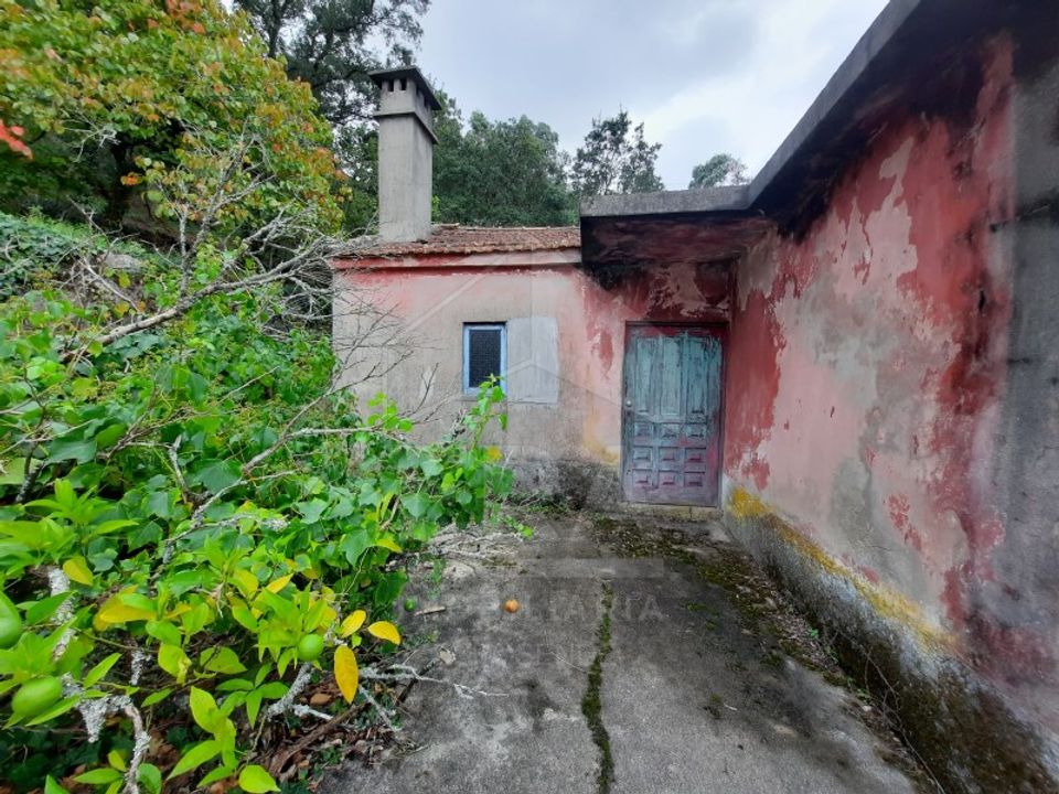 Villa i Curvos, Braga - foto 5