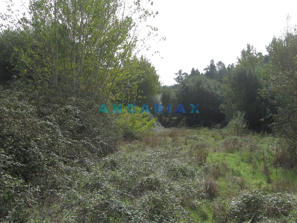 Helårsgrund i Pombal, Leiria - foto 4