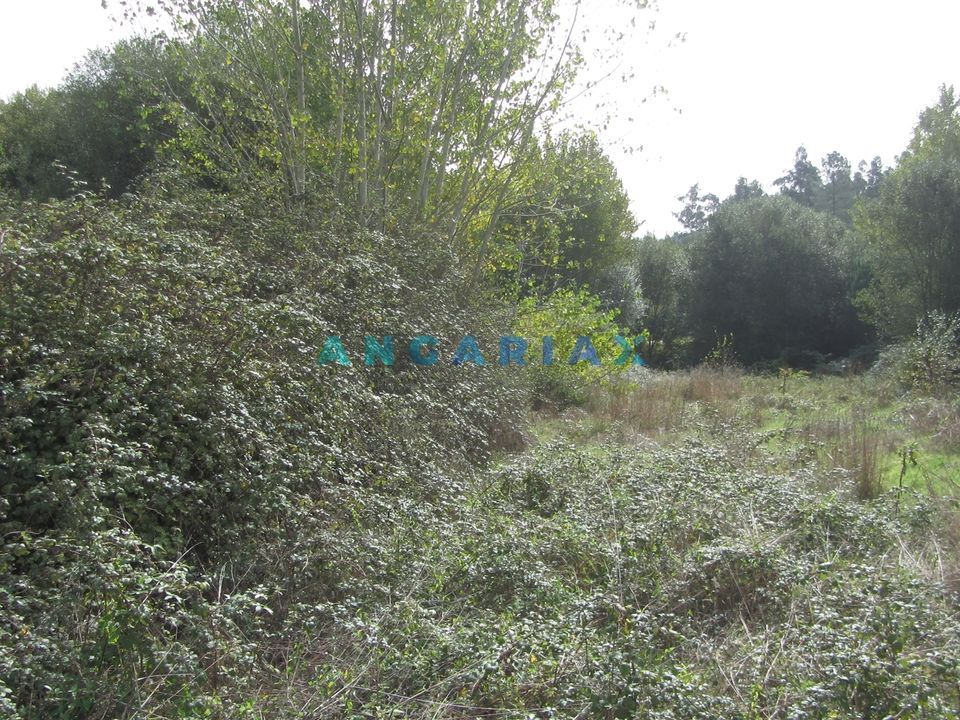 Helårsgrund i Pombal, Leiria - foto 3