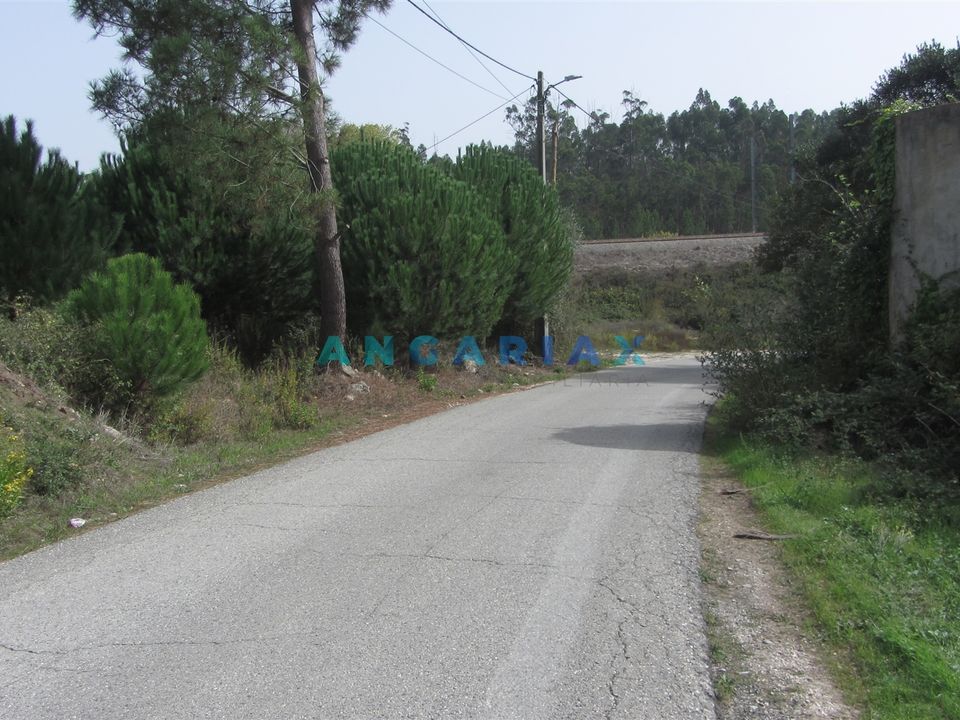 Helårsgrund i Pombal, Leiria - foto 1