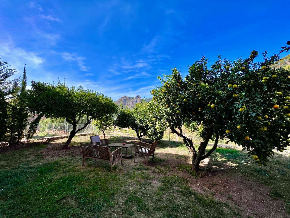 Byhus i Bunyola, Mallorca - foto 5