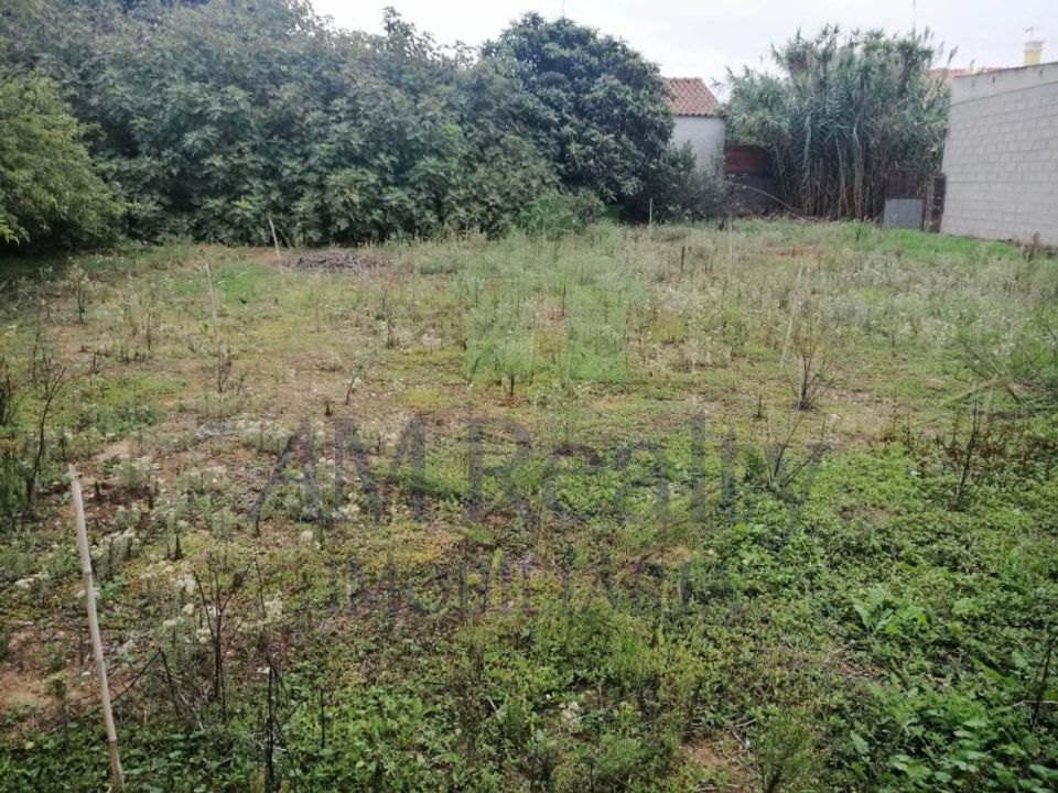 Villa i Cadaval, Lisbon - foto 5