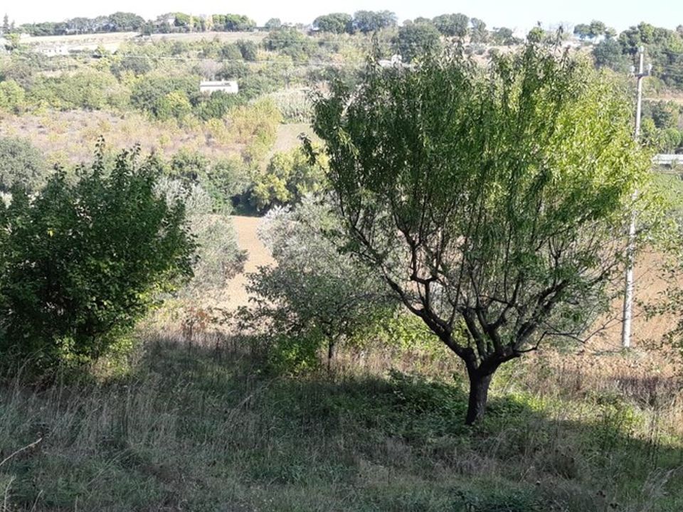 Helårsgrund i Montecosaro, Macerata - foto 1