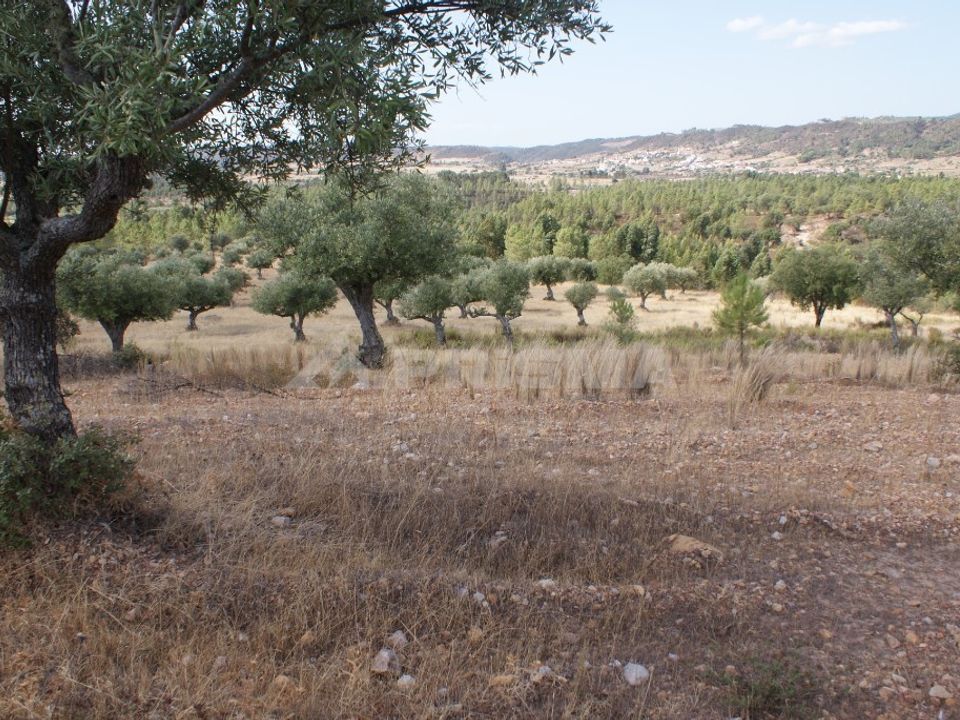 Helårsgrund i Nisa, Portalegre - foto 2