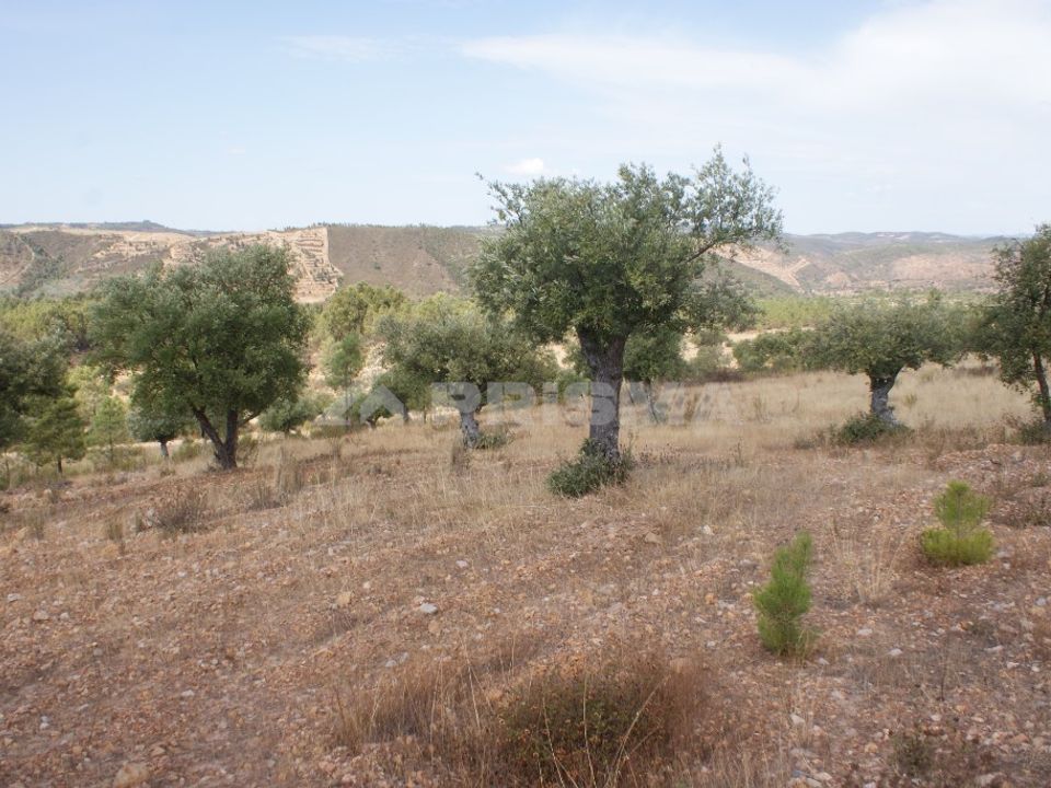 Helårsgrund i Nisa, Portalegre - foto 3