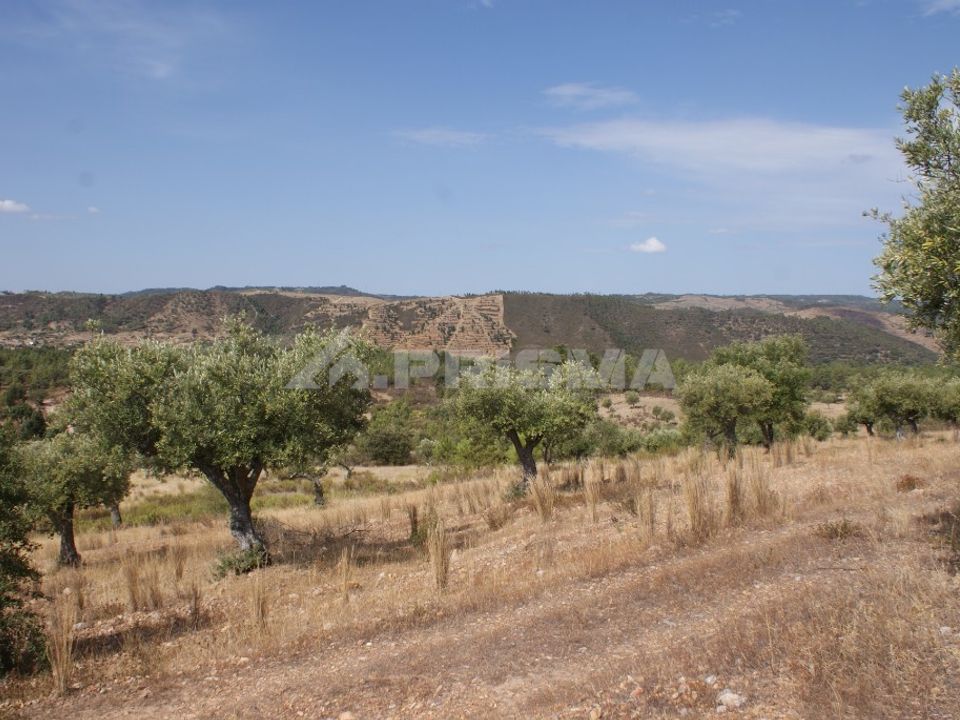 Helårsgrund i Nisa, Portalegre - foto 1