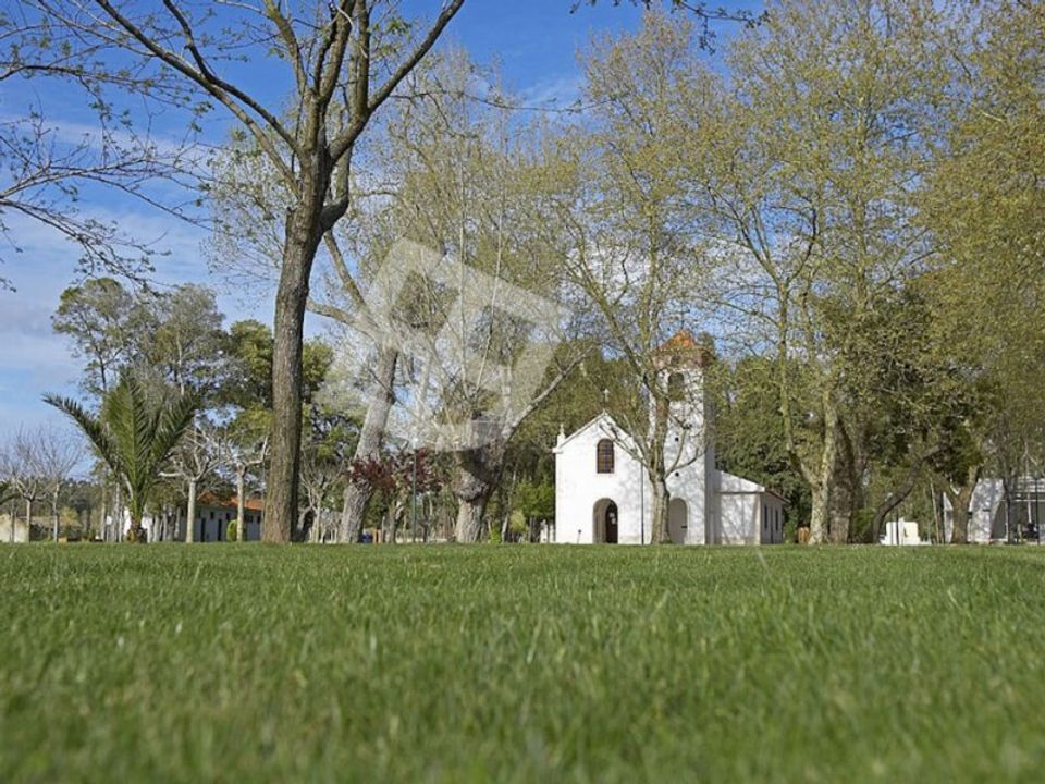 Helårsgrund i Vagos, Aveiro - foto 5