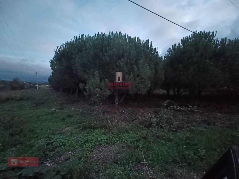 Helårsgrund i Batalha, Leiria - foto 1