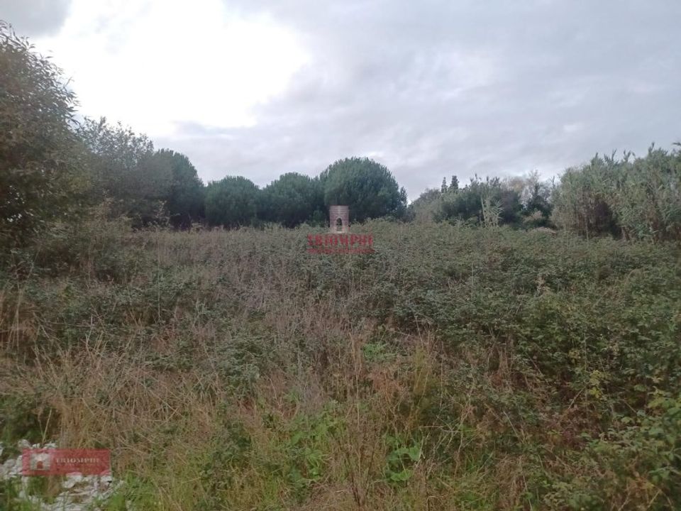 Helårsgrund i Batalha, Leiria - foto 3