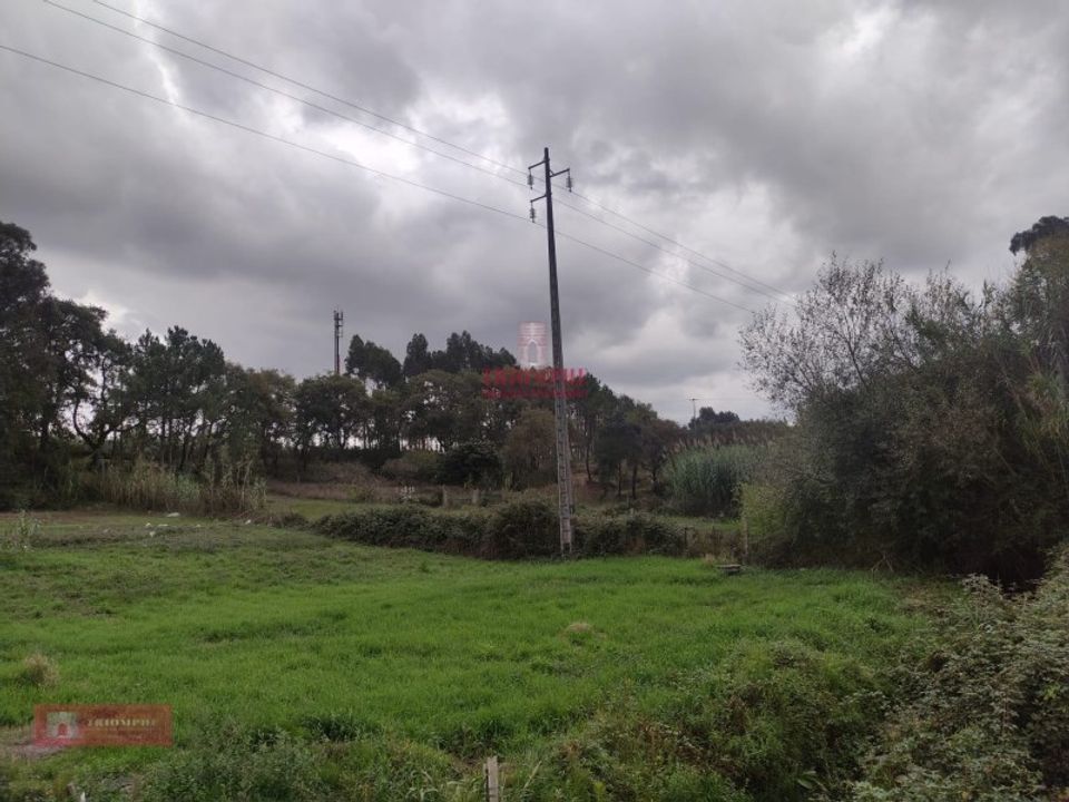 Helårsgrund i Marinha Grande, Leiria - foto 4