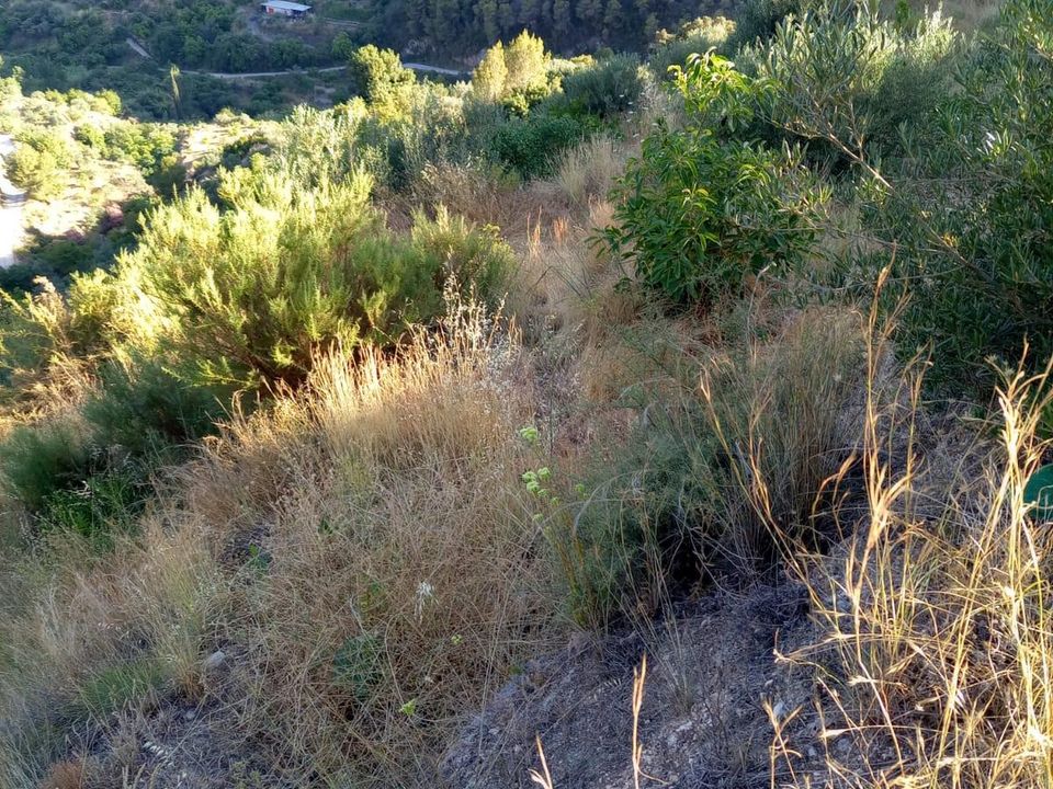 Helårsgrund i Guajar Alto, Granada - foto 1