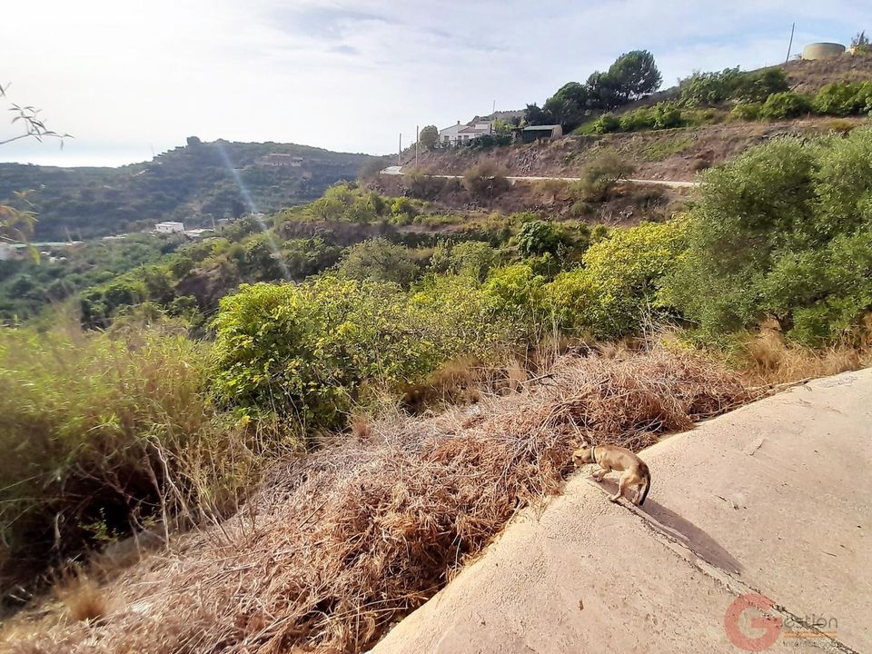 Finca a Motril, Granada - foto 3