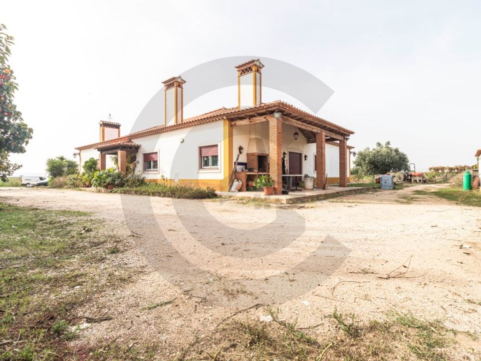 Farm i Golega, Santarem - foto 1