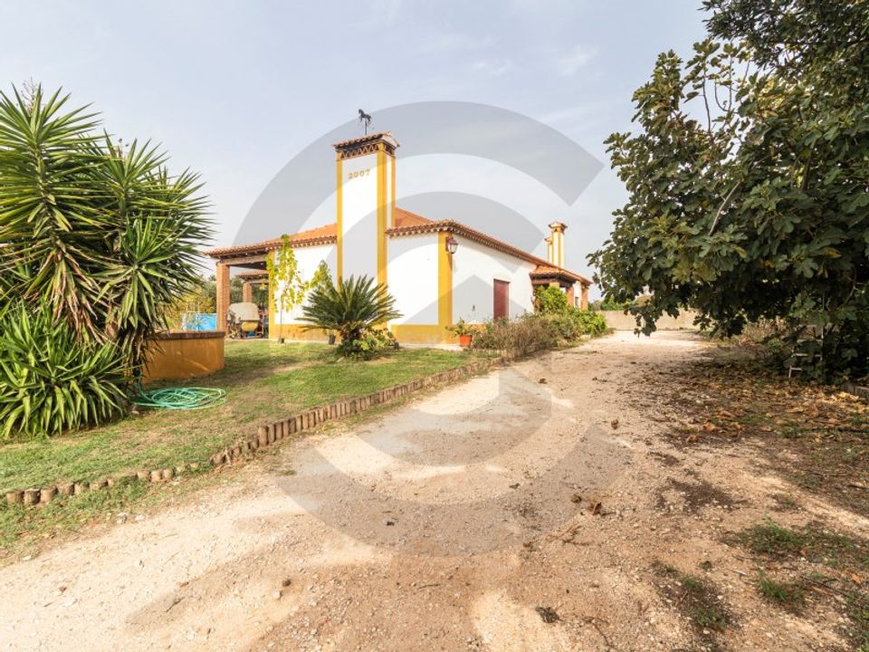 Farm i Golega, Santarem - foto 2
