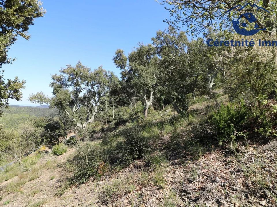 Helårsgrund i Taillet, Pyrenees-Orientales - foto 2
