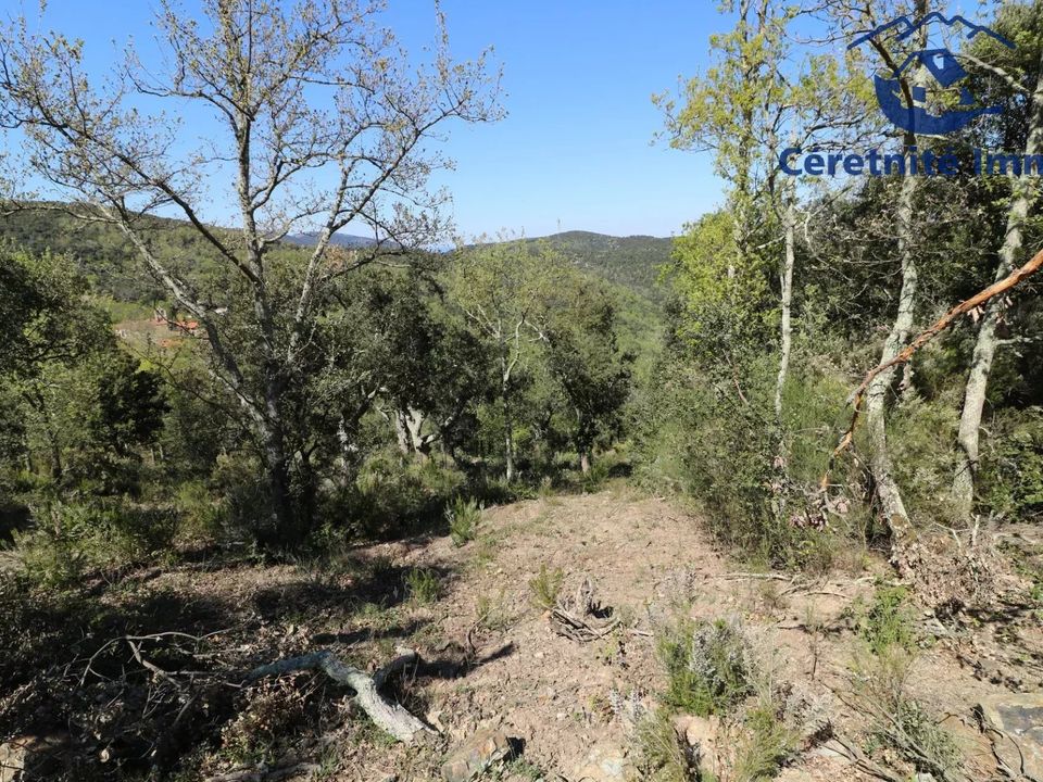 Helårsgrund i Taillet, Pyrenees-Orientales - foto 4