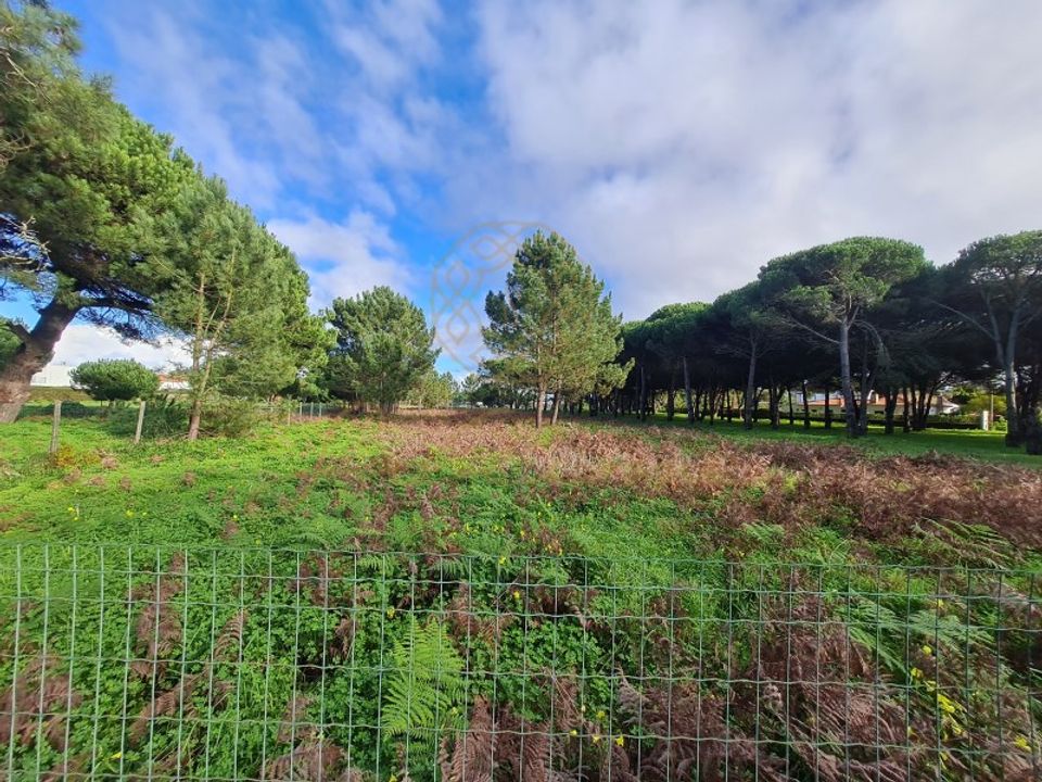 Helårsgrund i Sesimbra, Setubal - foto 3