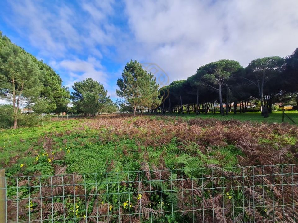 Helårsgrund i Sesimbra, Setubal - foto 4