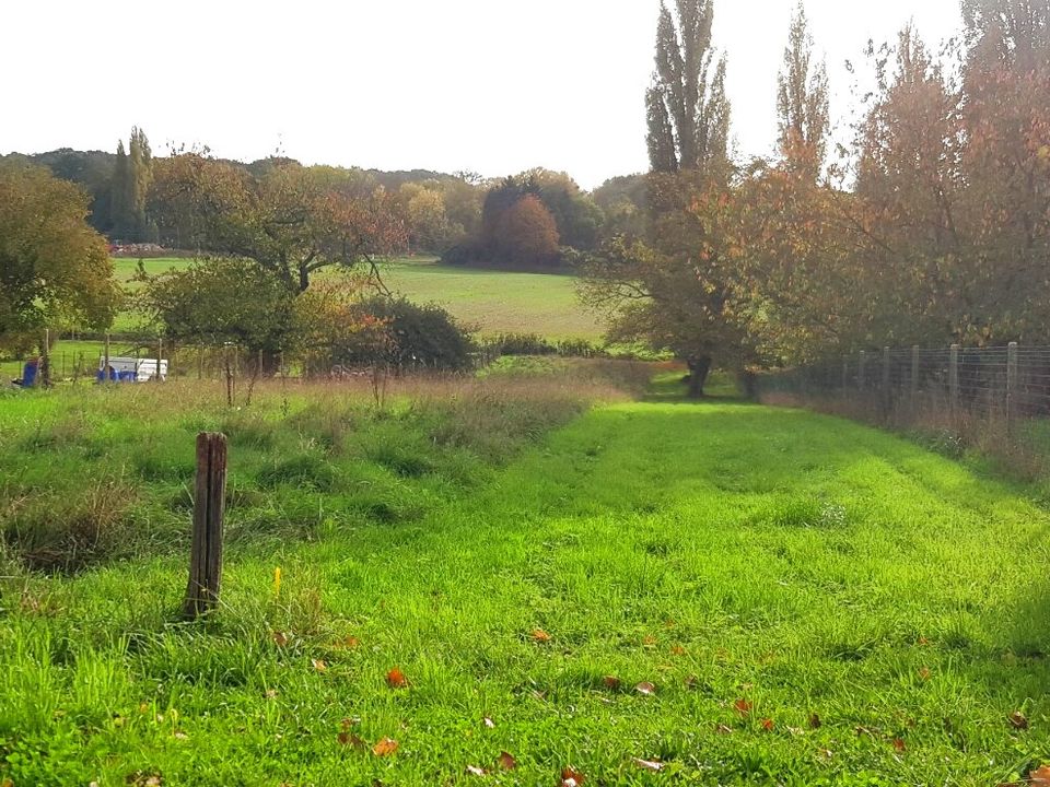 Helårsgrund i Vetheuil, Val-d'Oise - foto 2