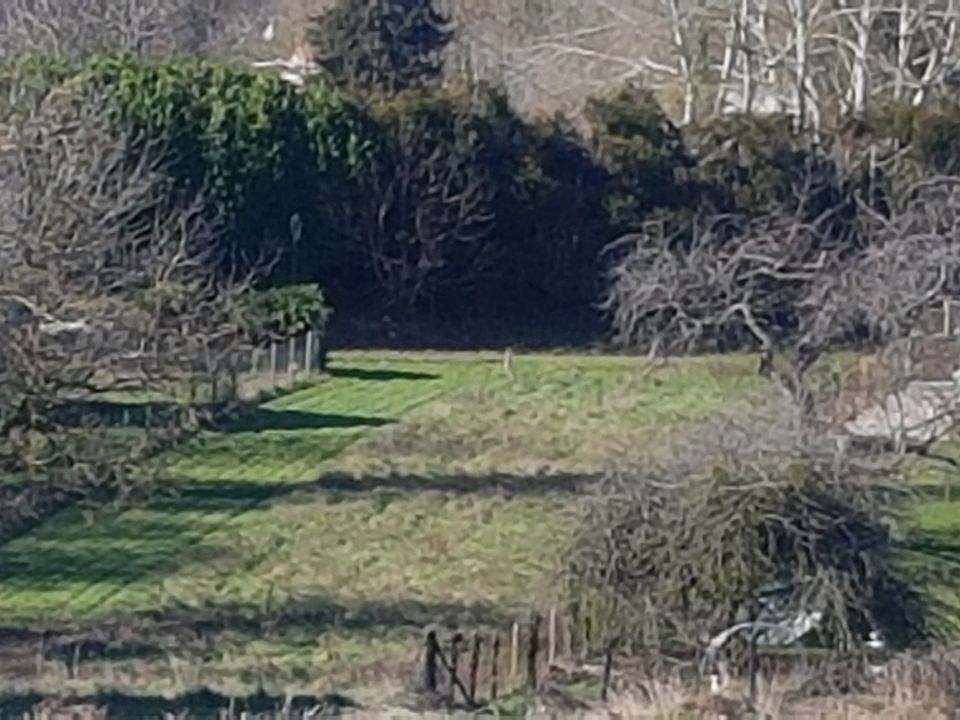 Helårsgrund i Vetheuil, Val-d'Oise - foto 3