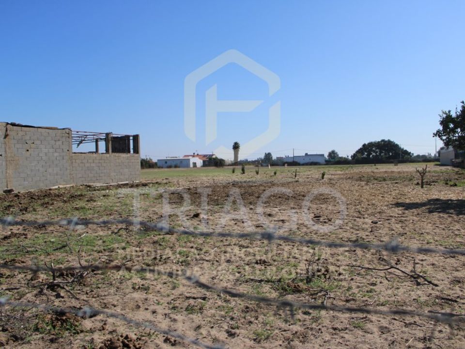 Tomt i Benavente, Santarem - foto 1