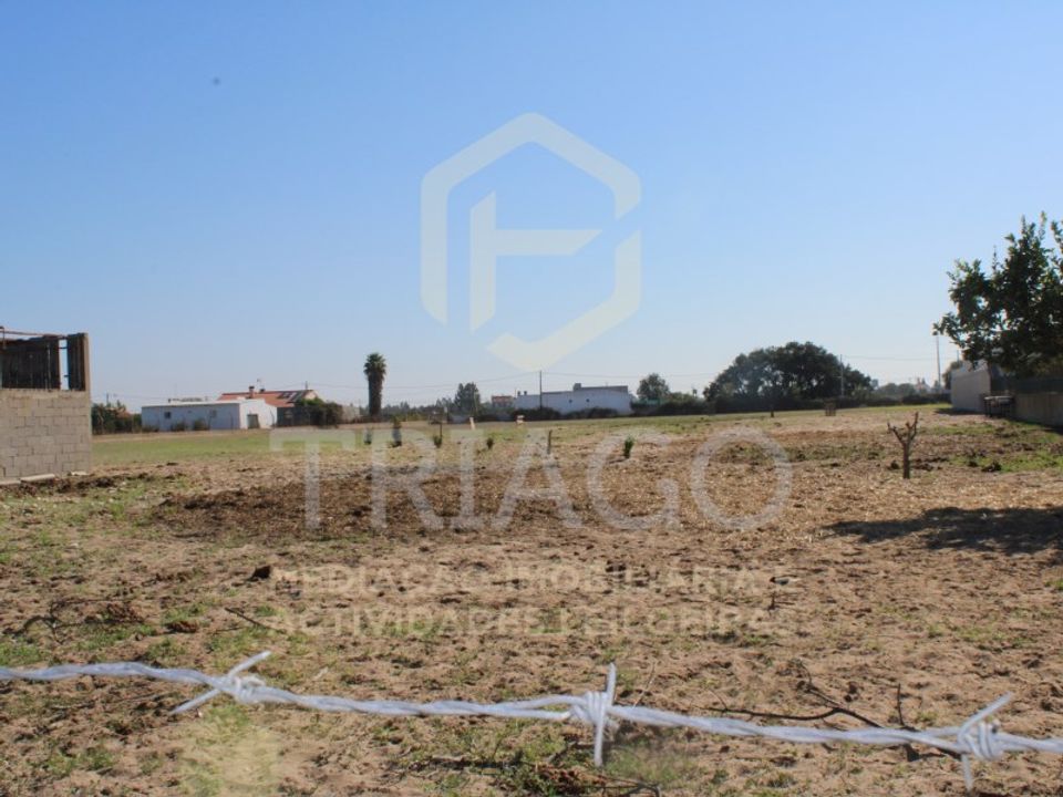 Tomt i Benavente, Santarem - foto 2