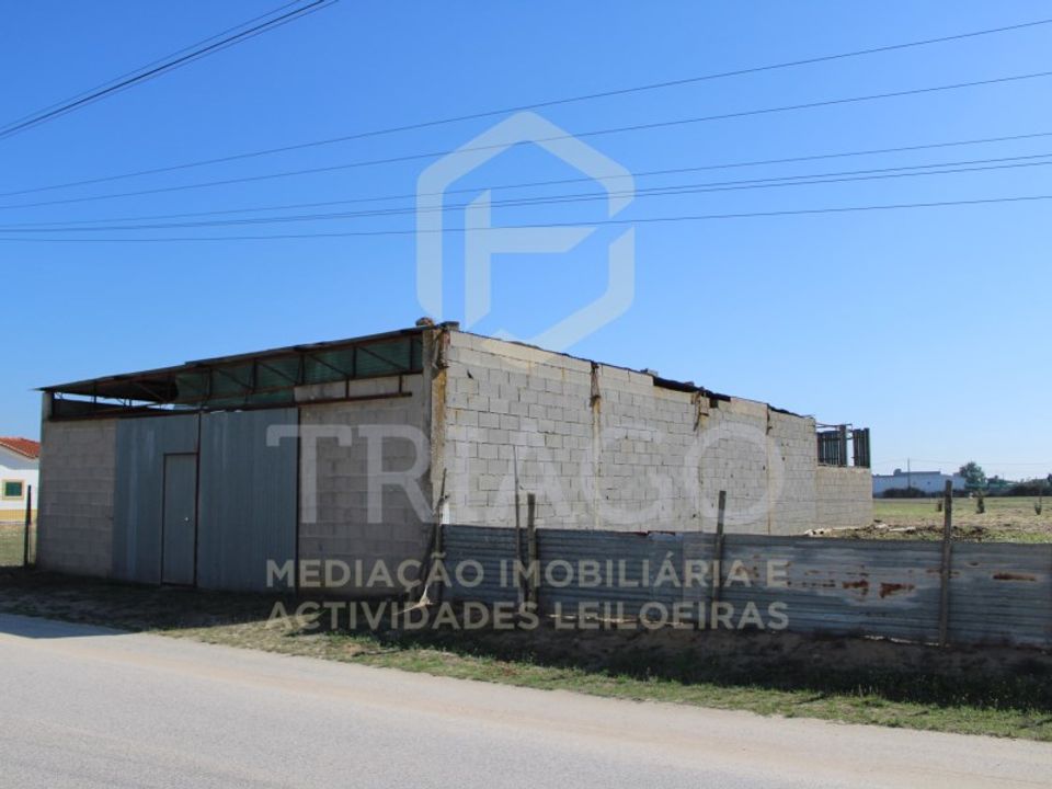 Tomt i Benavente, Santarem - foto 4