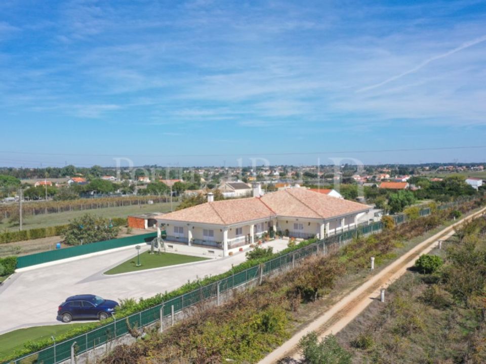 Farm i Palmela, Setubal - foto 3