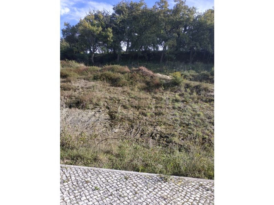 Helårsgrund i Batalha, Leiria - foto 1
