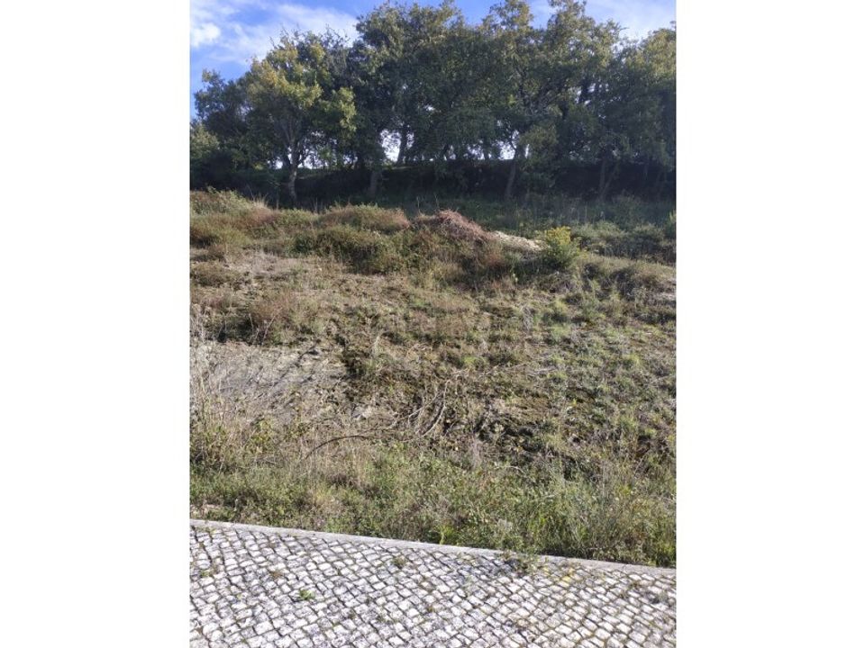 Helårsgrund i Batalha, Leiria - foto 2