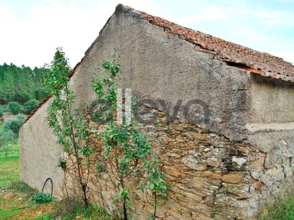 Helårsgrund i Castelo Branco, Castelo Branco - foto 4