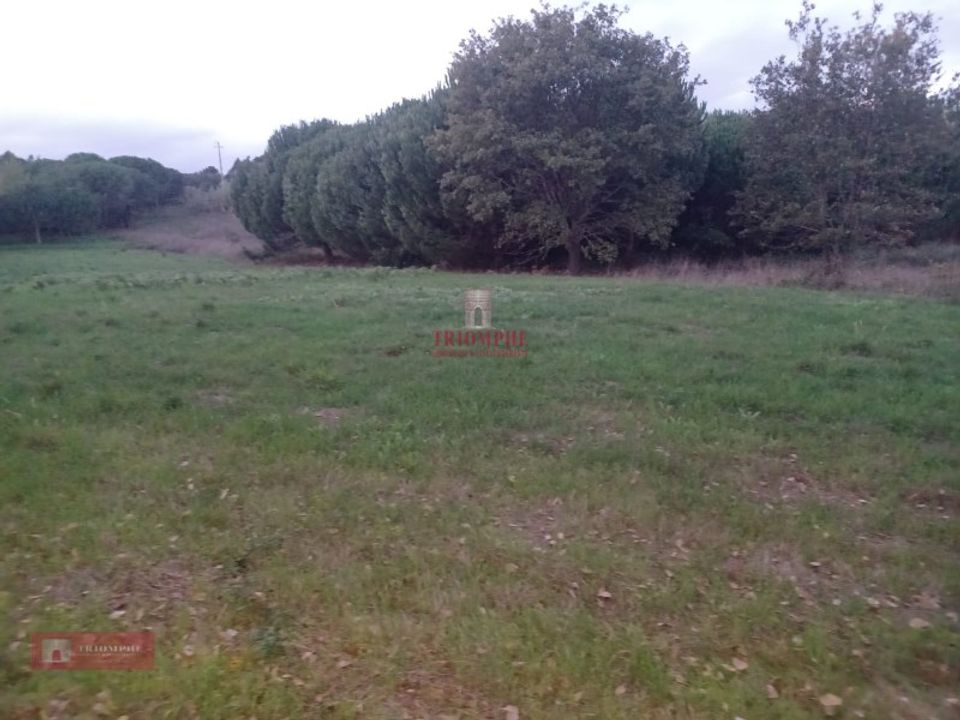 Helårsgrund i Batalha, Leiria - foto 1