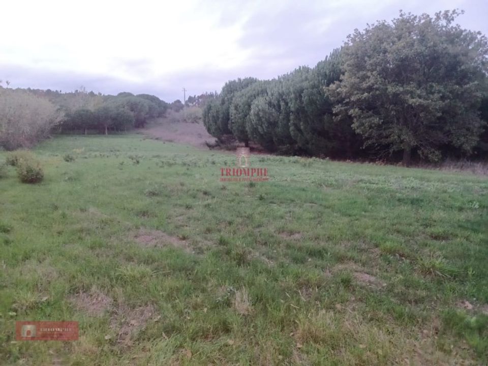Helårsgrund i Batalha, Leiria - foto 2