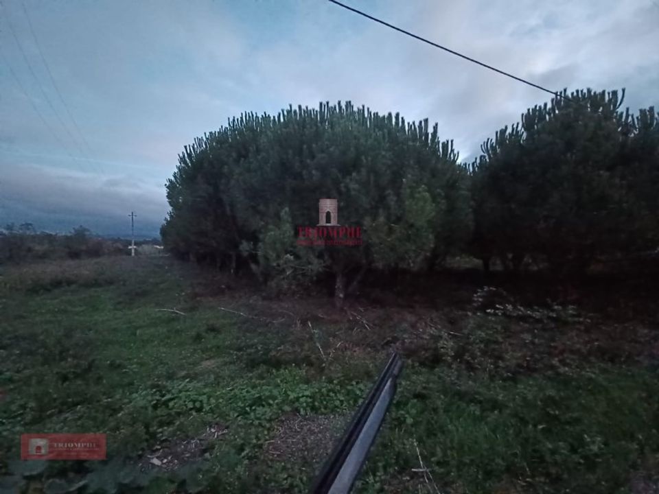 Helårsgrund i Batalha, Leiria - foto 4