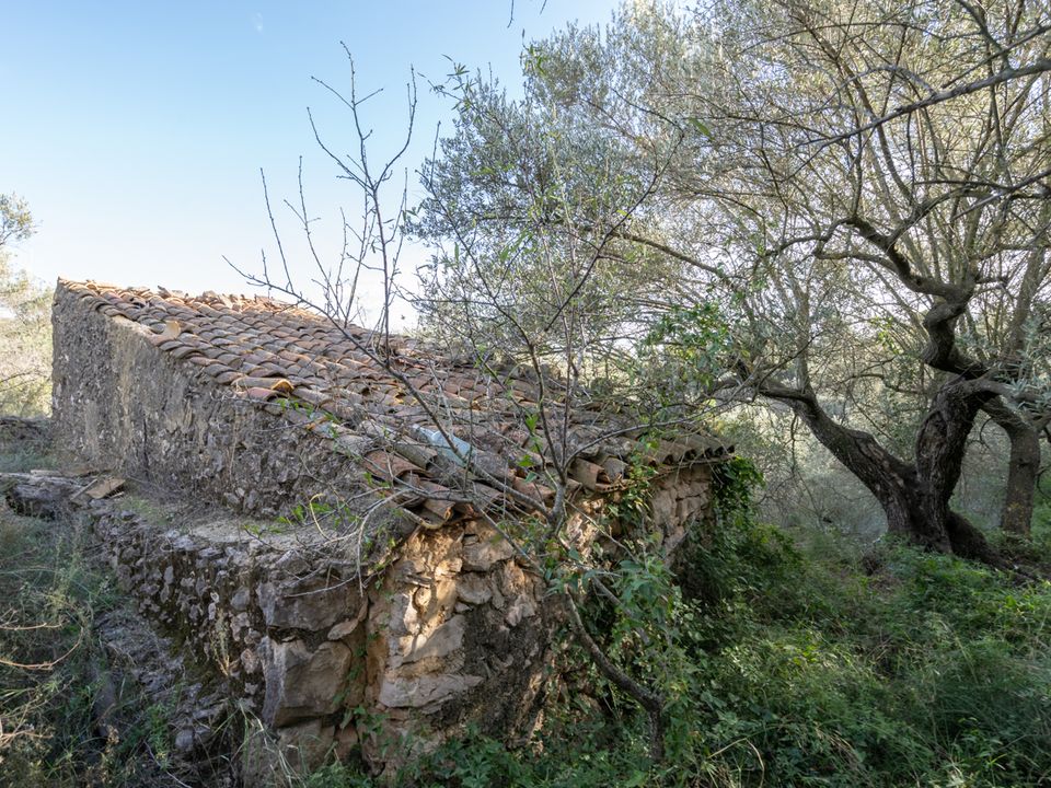 Finca i Tortosa, Tarragona - foto 5
