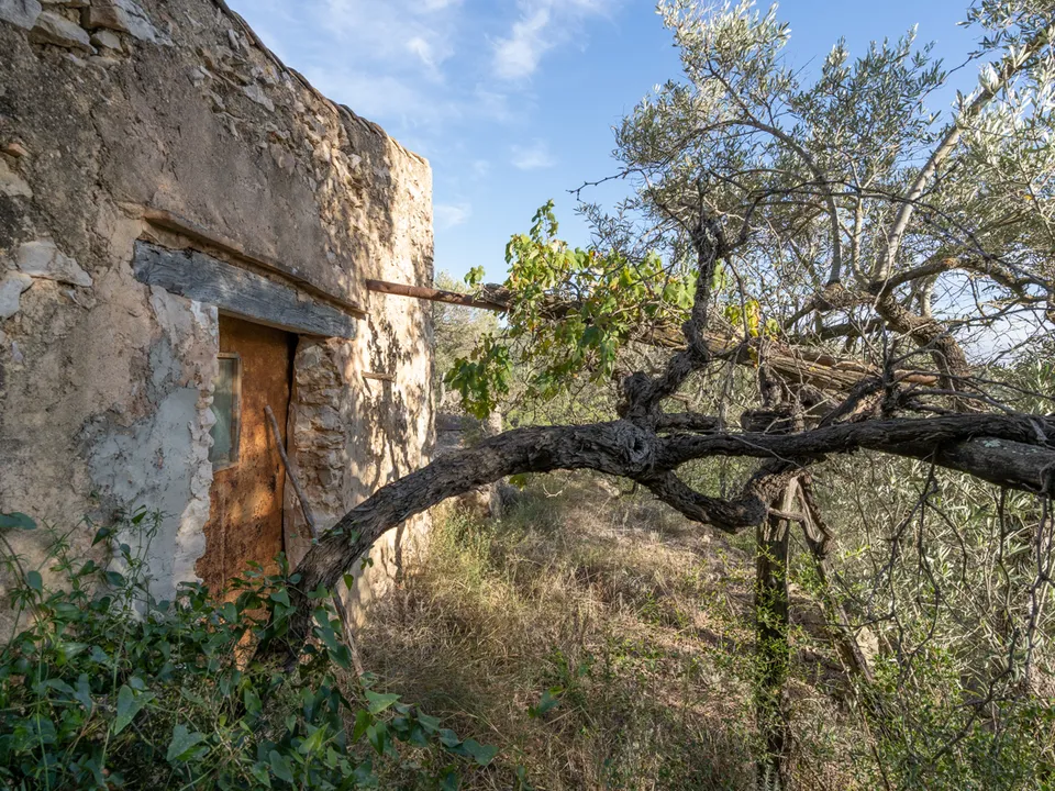 Finca i Tortosa, Tarragona - foto 3