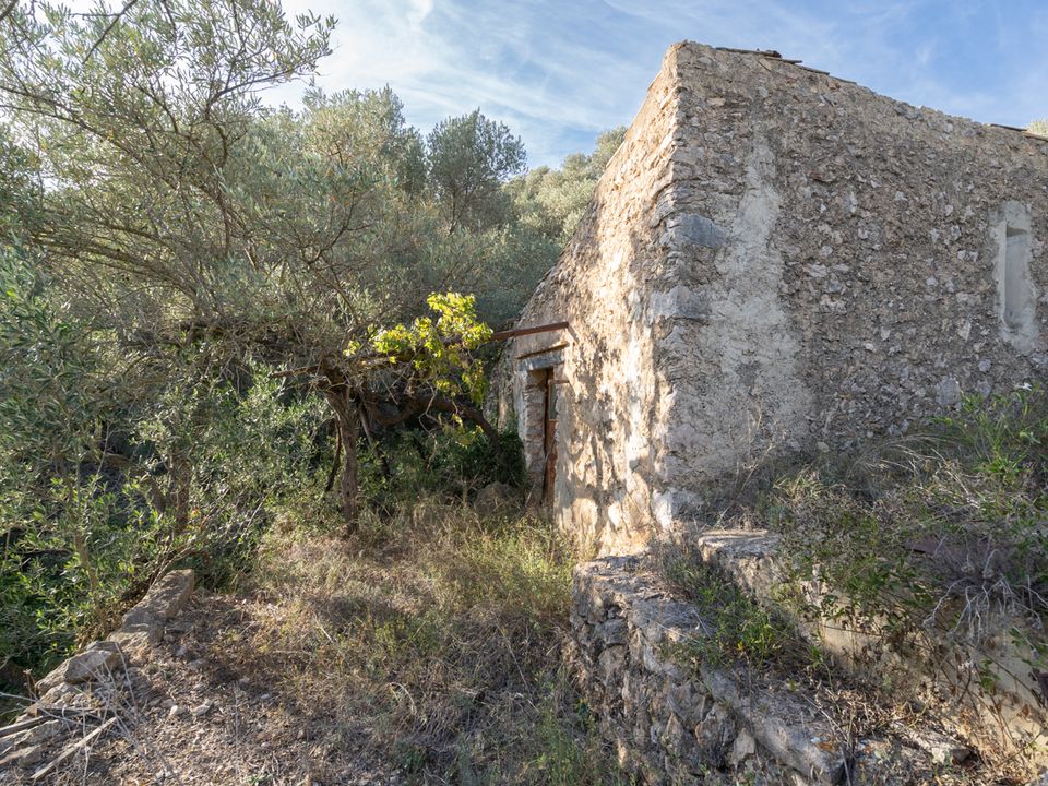 Finca i Tortosa, Tarragona - foto 2