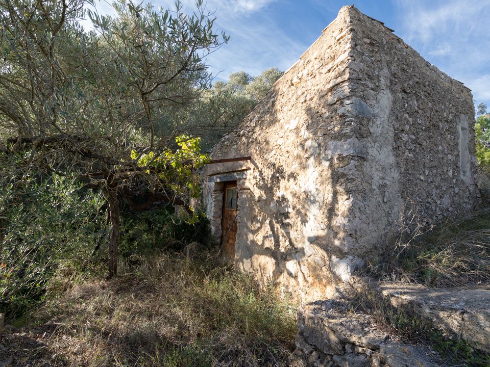 Finca i Tortosa, Tarragona - foto 1