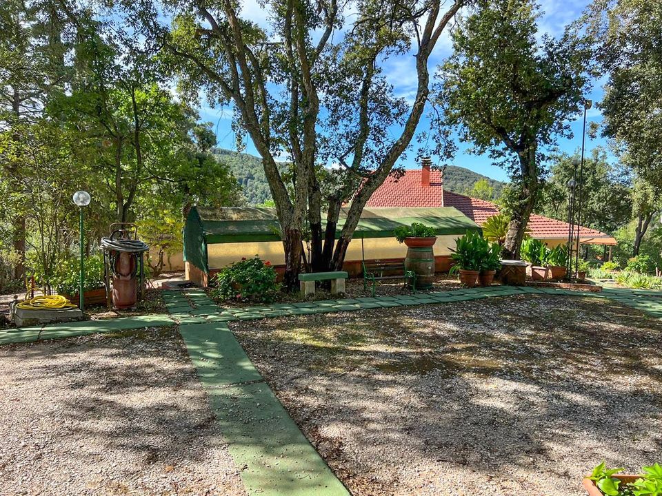 Villa i Castagneto Carducci, Livorno - foto 3