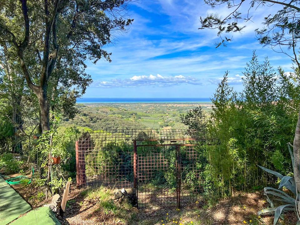Villa i Castagneto Carducci, Livorno - foto 4