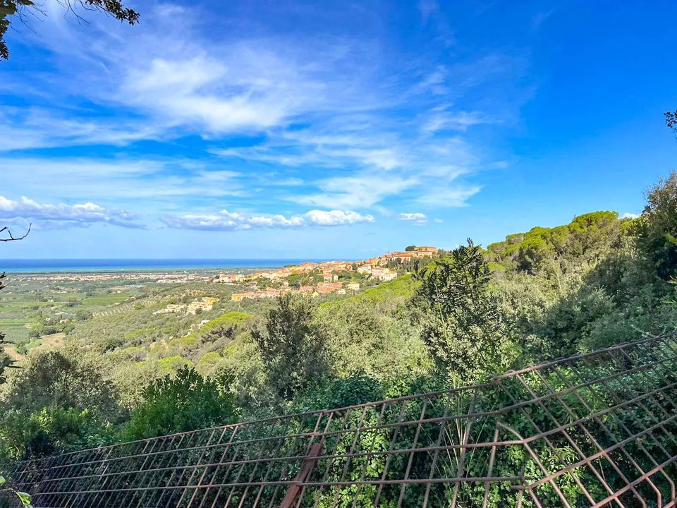 Villa i Castagneto Carducci, Livorno - foto 5