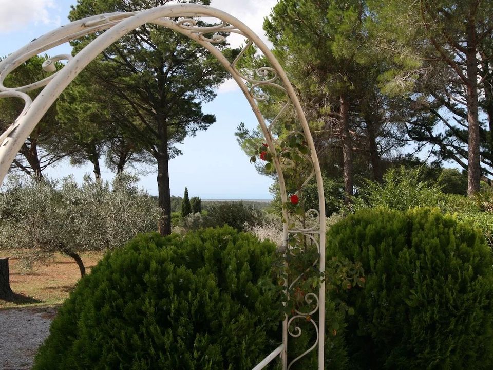 Villa i Guardistallo, Pisa - foto 3