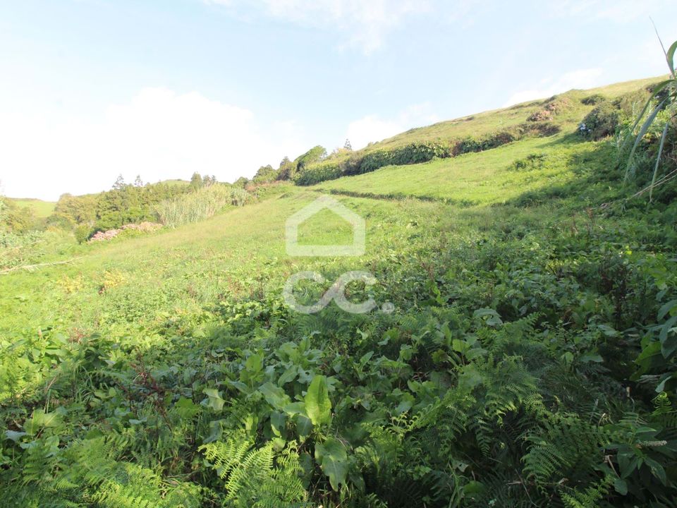 Tomt i Ginetes, Sao Miguel - bilde 4
