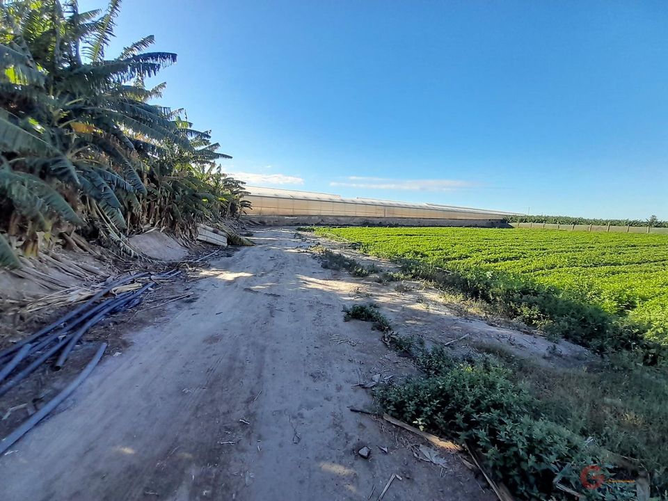 Helårsgrund i Motril, Granada - foto 1