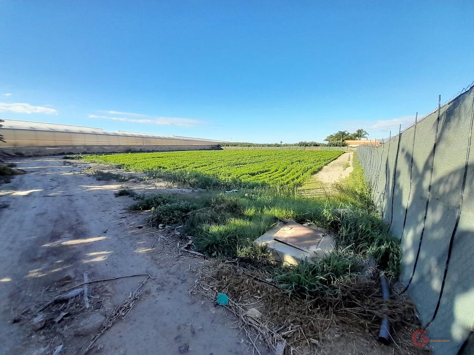 Helårsgrund i Motril, Granada - foto 2
