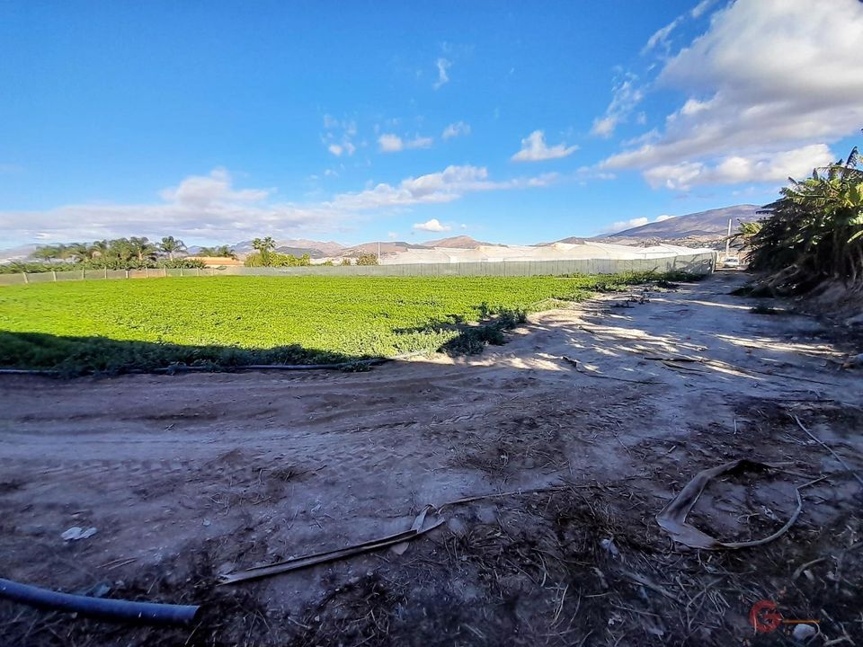 Helårsgrund i Motril, Granada - foto 3