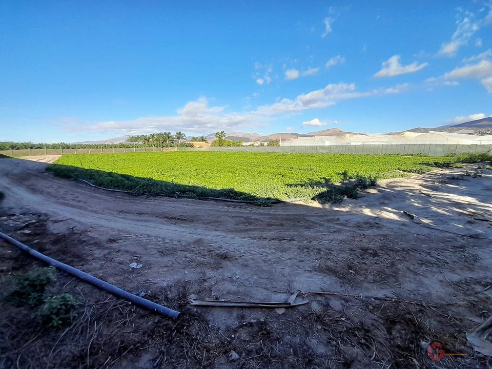 Helårsgrund i Motril, Granada - foto 4