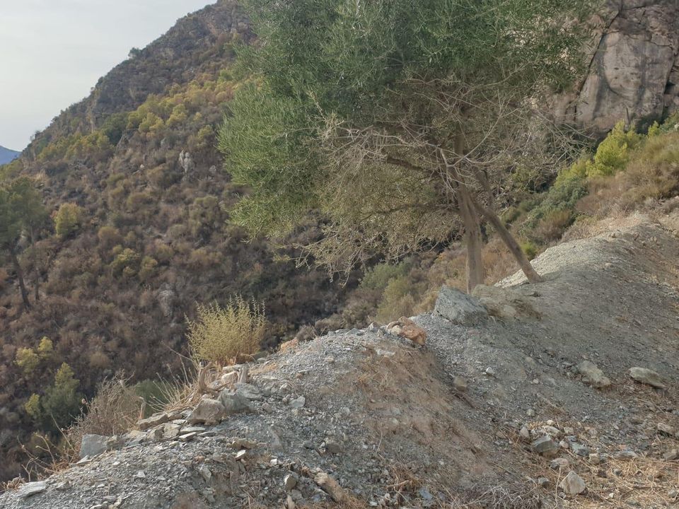 Helårsgrund i Molvizar, Granada - foto 2